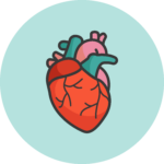 Das runde Piktogramm mit einem mintgrünen Hintergrund zeigt eine Illustration eines menschlichen Herzens.