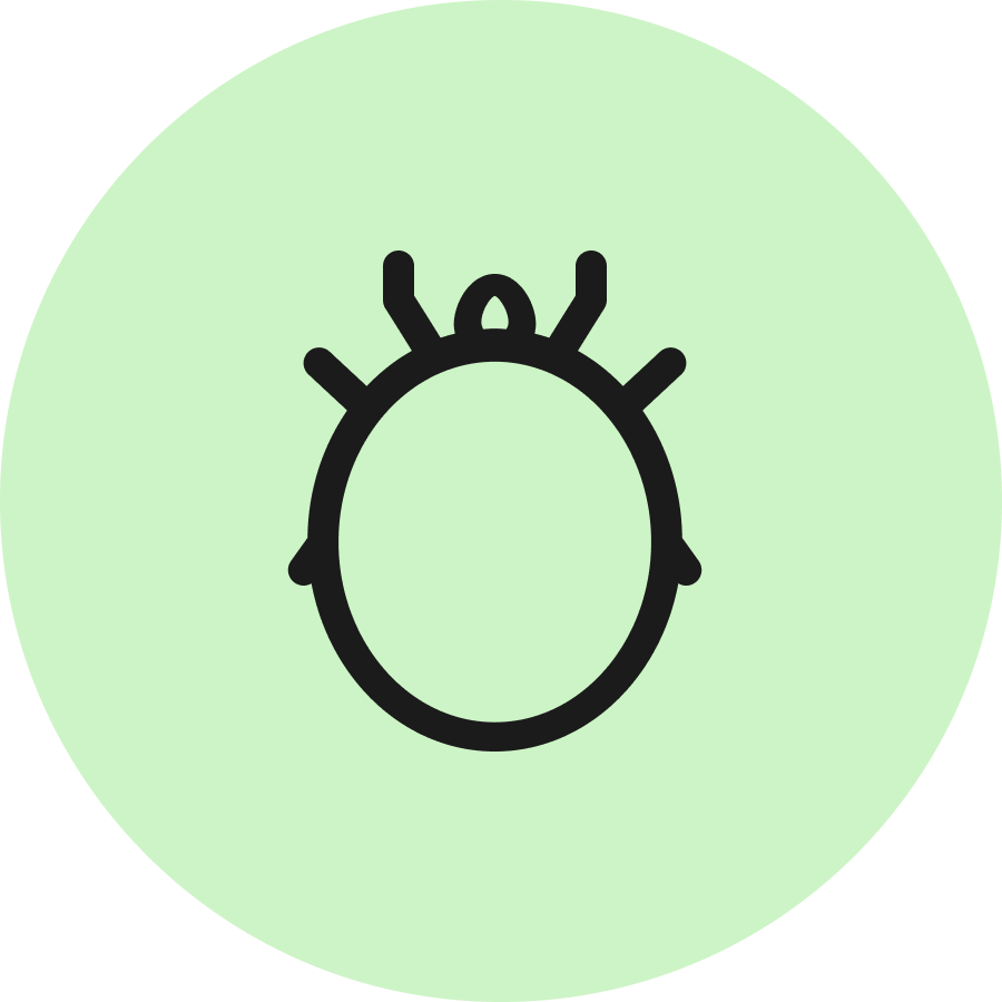 Minimalistisches Käfer-Icon auf hellgrünem Hintergrund, schlichtes Design, symbolisiert Tierwelt oder Insekten.