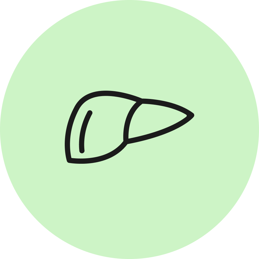 Symbol eines Zeichentabletts in einem grünen Kreis, ideal für kreative Design- und Kunst-Inhalte.