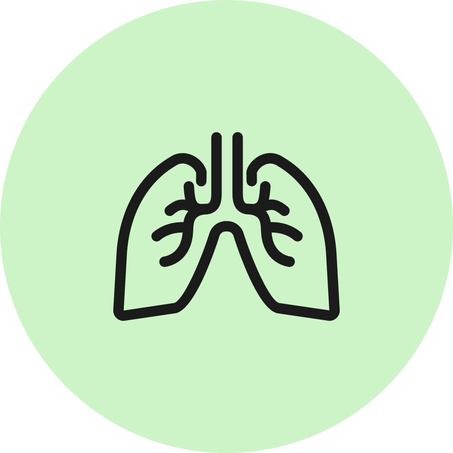 Ikonische Darstellung von Lungen auf einem grünen Hintergrund, symbolisiert Atmung und Gesundheit.